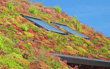 Wetherup Street living roof systems