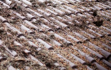 Wetherup Street roof cleaning companies