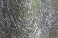 Wetherup Street fibreglass roof work